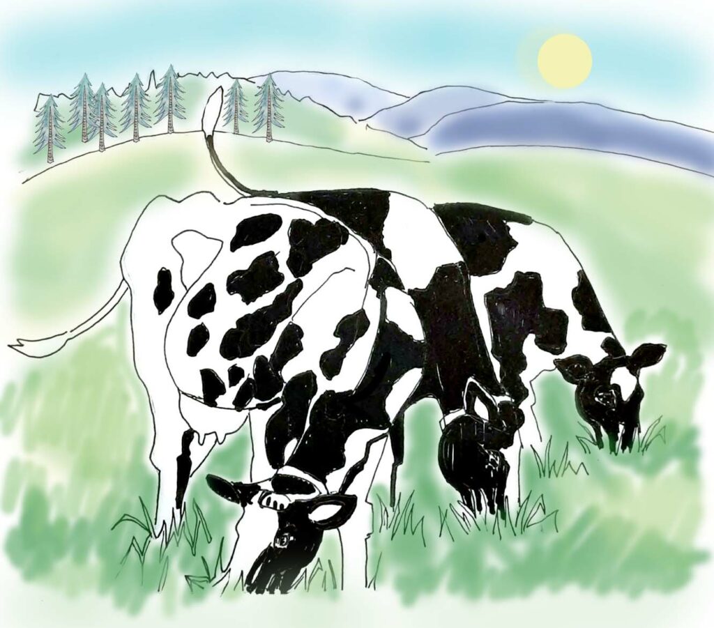 Illustration of cows grazing on grass