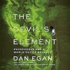 The Devils Element book cover